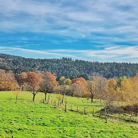 Maison En Bois Au Coeur De Dom wakacyjny Thannenkirch